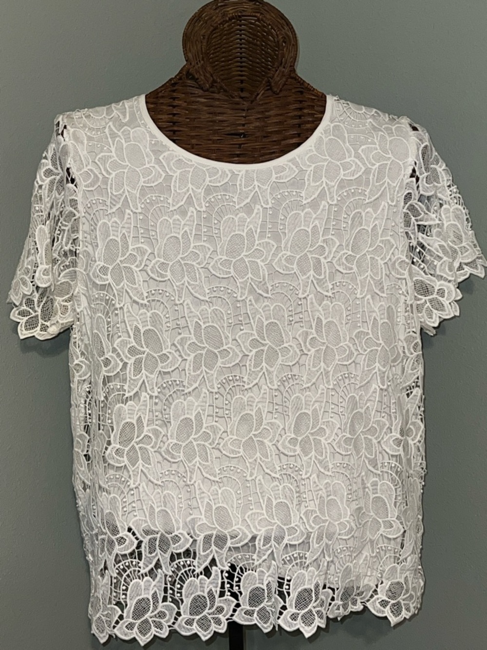 Women’s White Lace Short Sleeve Top